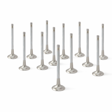 ZRP Std Zestaw Zaworów Wydechowych Zawory Wydechowe Inconel do Lamborghini 5.2L Gallardo Huracan 2008-