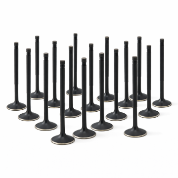 ZRP Std Zestaw Zaworów Dolotowych Zawory Dolotowe Black Nitride do Lamborghini 5.2L Gallardo Huracan 2008-