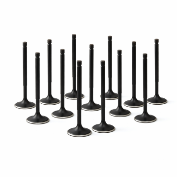 ZRP Std Zestaw Zaworów Dolotowych Zawory Dolotowe Black Nitride do Toyota Supra 3.0L 2JZ