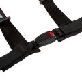 DriftShop 4 Point Harness 2