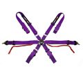DriftShop 6 Point Harness Purple FIA Approved 8853 DSHOP-6P-F 500,00 zł