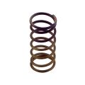 Sprężyna Wastegate Turbosmart WG60 Gen V 5PSI TS-0550-3090 176,00 zł