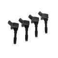RTMG Performance RS3 Ignition Coil Set for 1.8/2.0 TSI EA888 Gen 3 Engines RTMG-901-0077 813,98 zł
