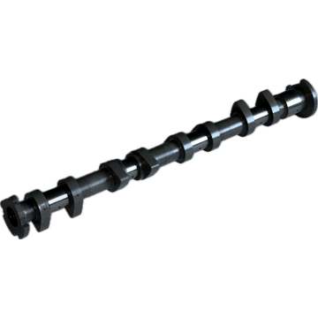 Tuningowy wałek rozrządu dolotowy Świątek Hyundai 1.6 16vl Stage W