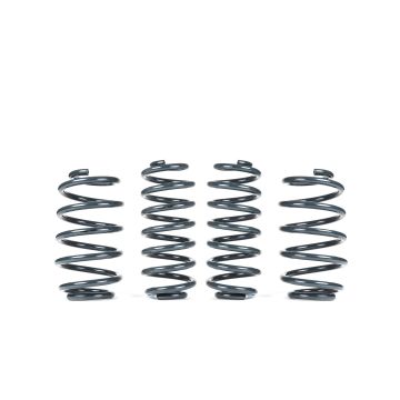 RacingLine Sports Spring Kit A5-Platform for VW Golf 6R Jetta Gli Skoda Octavia Passat CC VWR31G60R 1 285,04 zł