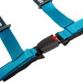 DriftShop 4 Point Harness 2