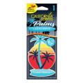 CALIFORNIA SCENTS HANG OUT PALMS - Laguna Breeze HO-1202-MC 6,49 zł