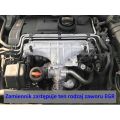 Zamiennik zaworu EGR VW Seat Skoda Audi z silnikami 1.9 2.0 TDI AXR BKC BKD AZV BXF EGR_04A/ZU 169,00 zł