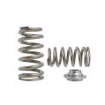 Sprężynki zaworowe Beehive i talerzyki Kelford Cams Ford Gen2  3.5L Ecoboost V6 KVS253-BT 4 210,29 zł-1