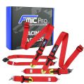 Pasy sportowe FMIC.Pro FIA 2031 8853-2016 6-punktowe 3