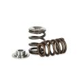 Sprężynki zaworowe i talerzyki Kelford Cams Ford 2.0l KVS2004-K 1 017,70 zł-1