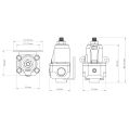 Nuke Performance Fuel Pressure Regulator FPR100s AN-6 NP-300-02-201 1 650,00 zł-6
