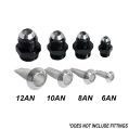 12 AN Filter Insert Nitrous Express NX SNF-20143 USA-NX-SNF-20143 99,99 zł-1