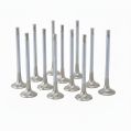 ZRP Std Zestaw Zaworów Wydechowych Zawory Wydechowe Inconel do Audi VW Volkswagen 4.2L R8 32V 8V FSI VE-AUD-006-16 3 678,19 zł-1