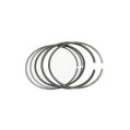Piston Ring 79.5 mm Wossner 795 1.5 x 1.2 x 2.0 mm WOS-795XPZ 199,99 zł-1
