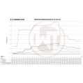 Competition Intercooler Kit Wagner Tuning Gen.2 for Audi RS6+ / US [C5] WT-200001010.SINGLE 5 898,99 zł-2