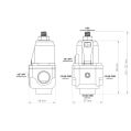 Nuke Performance Fuel Pressure Regulator FPR100x AN-10 NP-300-02-202 1 749,00 zł-7